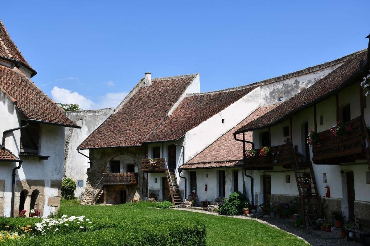 Transylvania Petals * Ghimbav