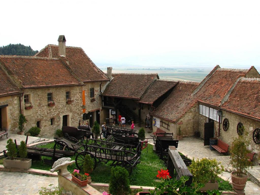 Transylvania Petals * Ghimbav